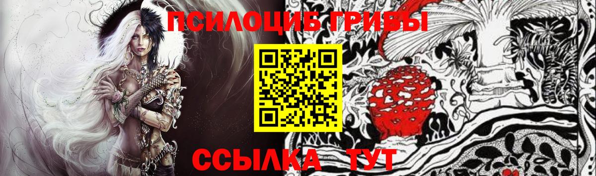 Ачхой-Мартан  Псилоцибиновые грибы мухоморы  Вход с VPN  Псилоцибиновые грибы Psilocybine cubensis 